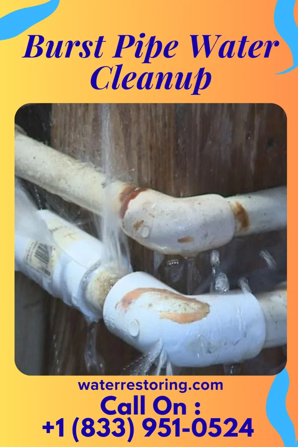 Burst Pipe Water Cleanup in Lake Mohawk, NJ