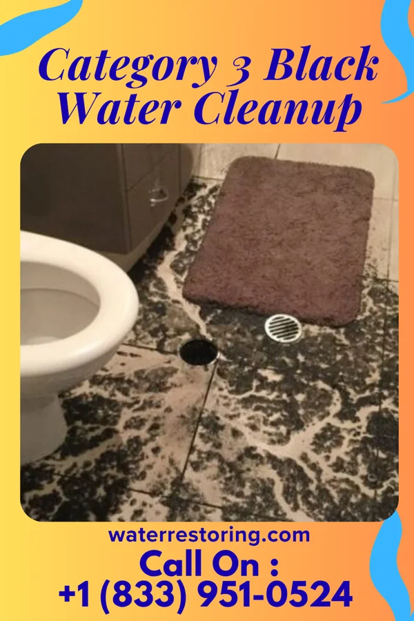 Category 3 Black Water Cleanup in Lake Mohawk, NJ