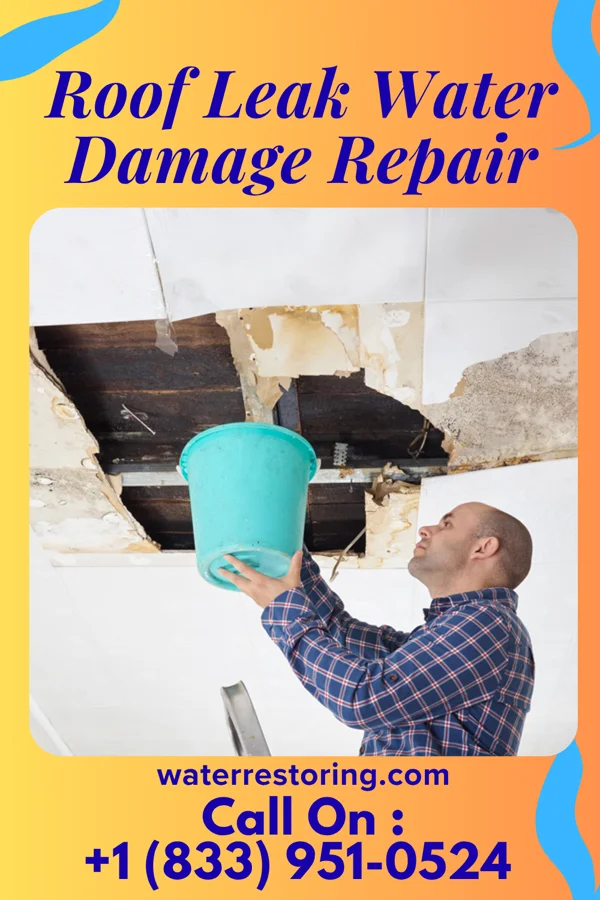 Roof Leak Water Damage Repair in Lake Mohawk, NJ